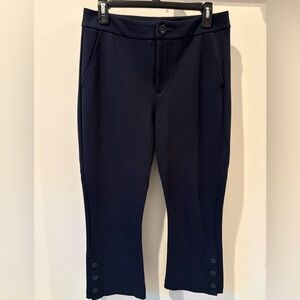 Cabi Navy Keen Kick Flare